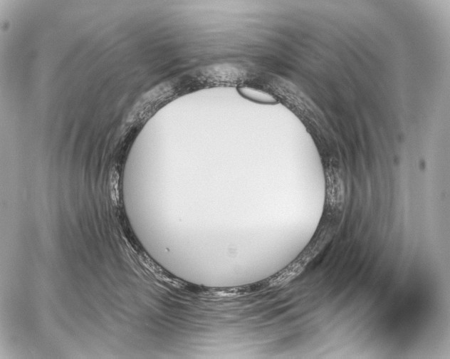 X0000059060718200510101048