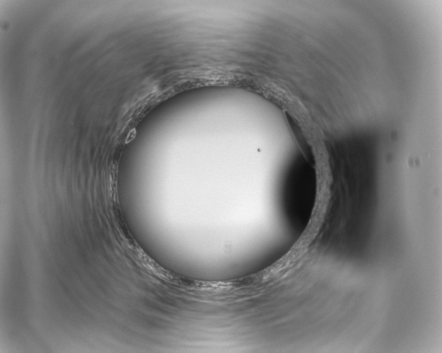 X0000059060720200510101048