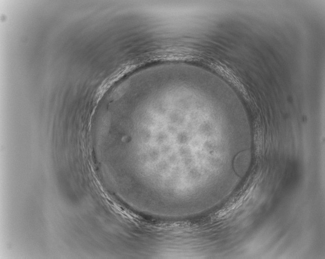 X0000059060721200510101048