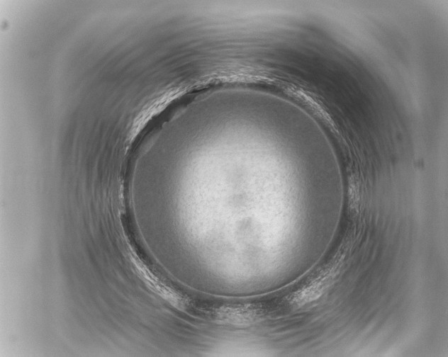 X0000059060725200510101048