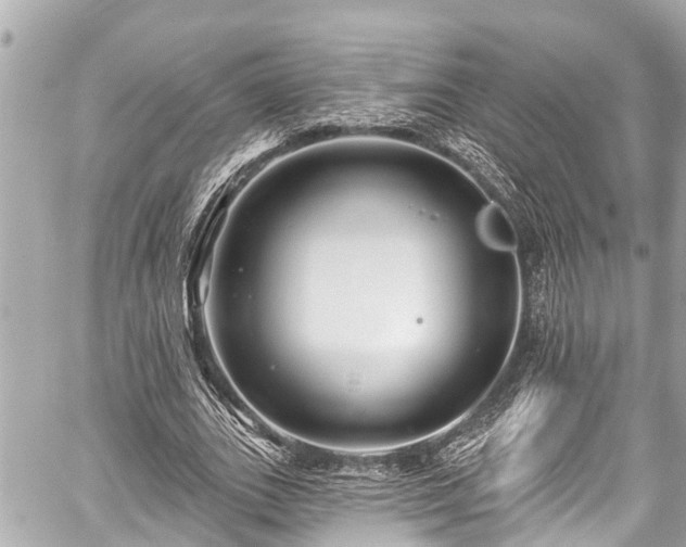 X0000059060727200510101048