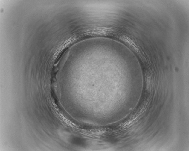 X0000059060729200510101048