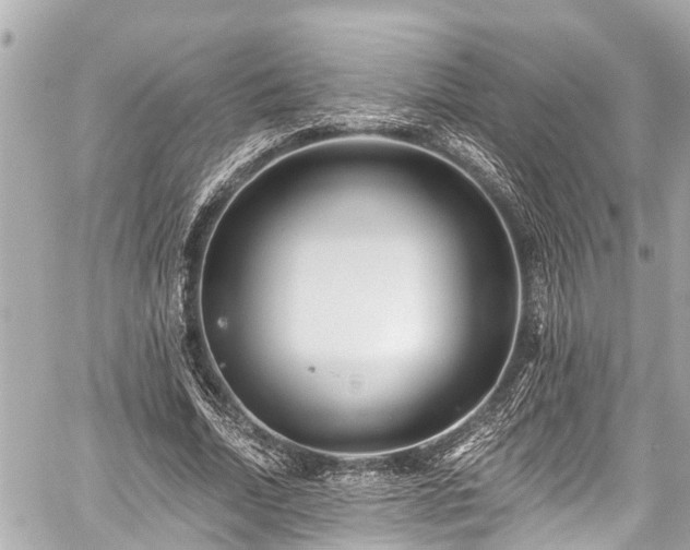 X0000059060730200510101048