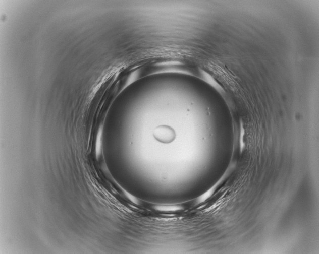 X0000059060731200510101048