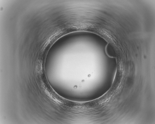 X0000059060733200510101048