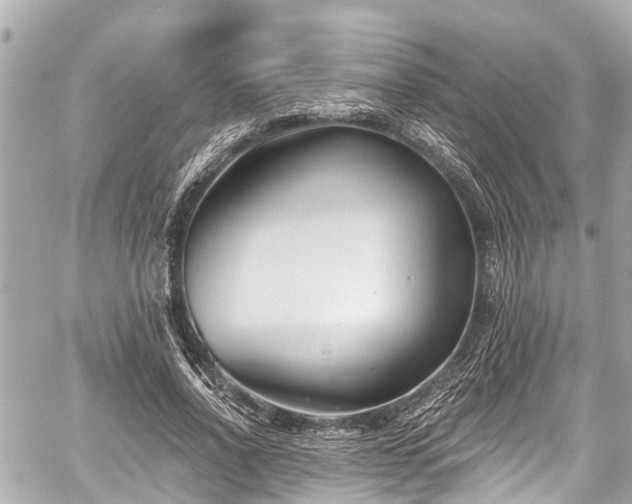 X0000059060734200510101048