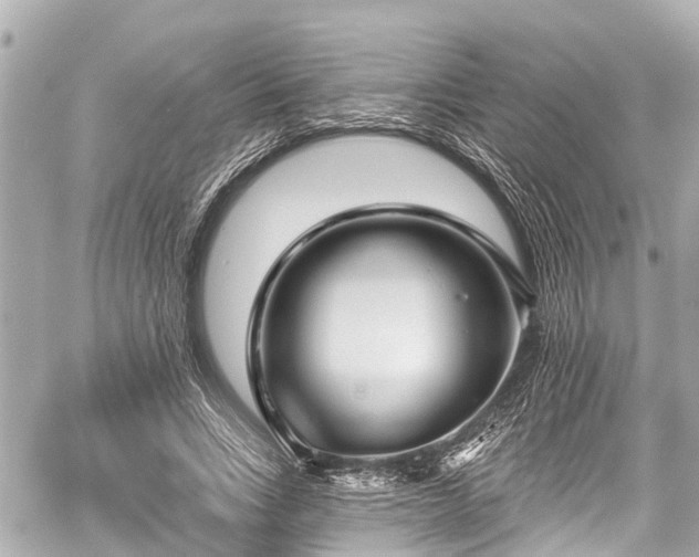 X0000059060735200510101048