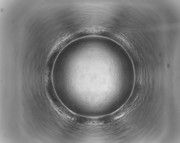 X0000059060736200510101048