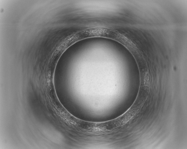 X0000059060737200510101048