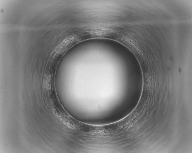 X0000059060738200510101048