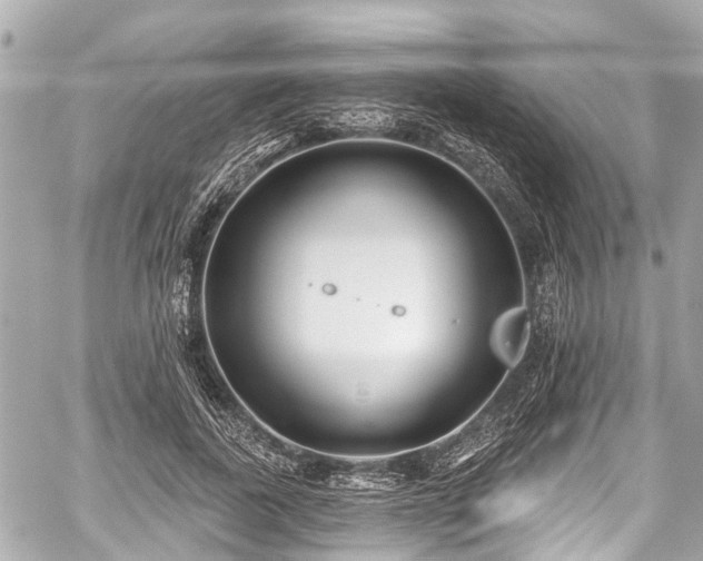 X0000059060739200510101048