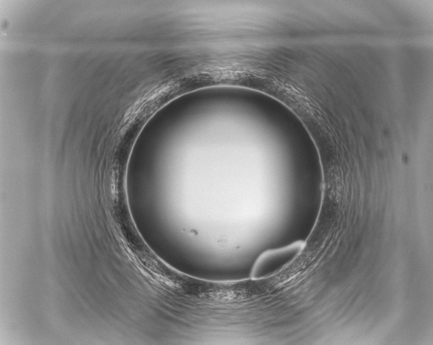 X0000059060740200510101048