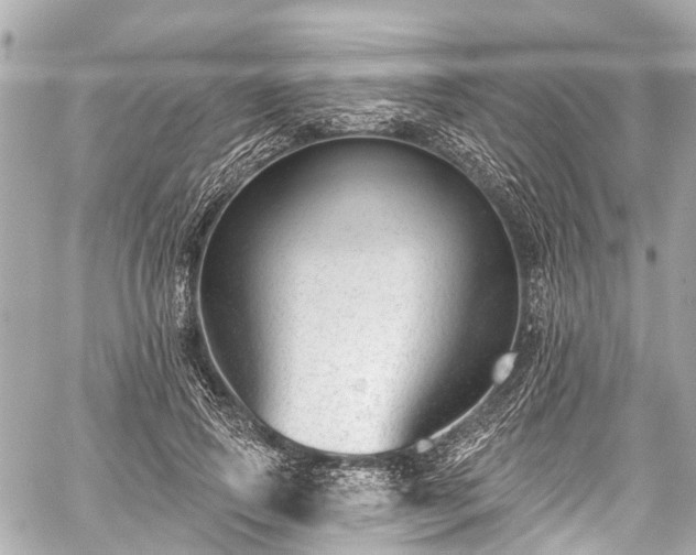 X0000059060741200510101048