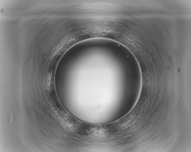 X0000059060742200510101048