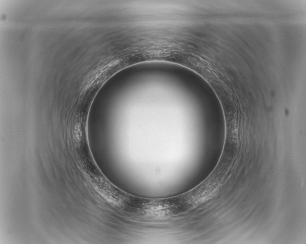 X0000059060746200510101048