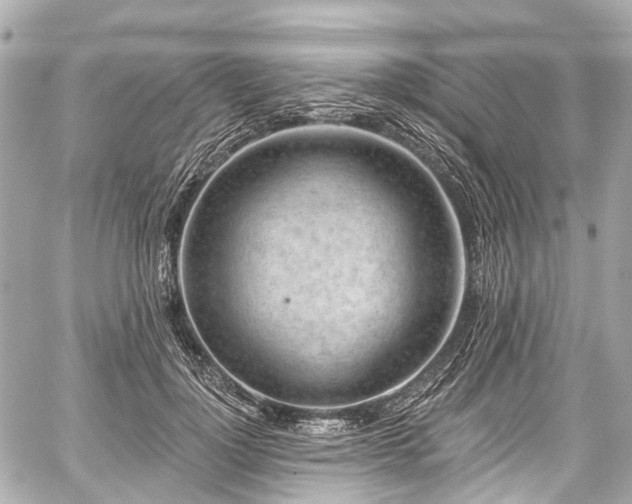 X0000059060748200510101048