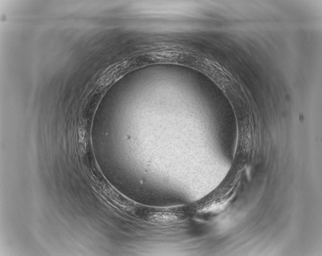 X0000059060749200510101048