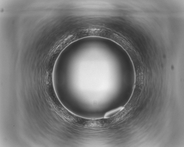 X0000059060750200510101048