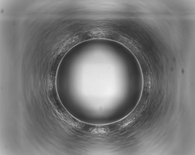 X0000059060751200510101048