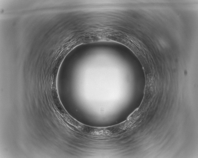 X0000059060752200510101048