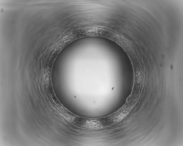 X0000059060753200510101048