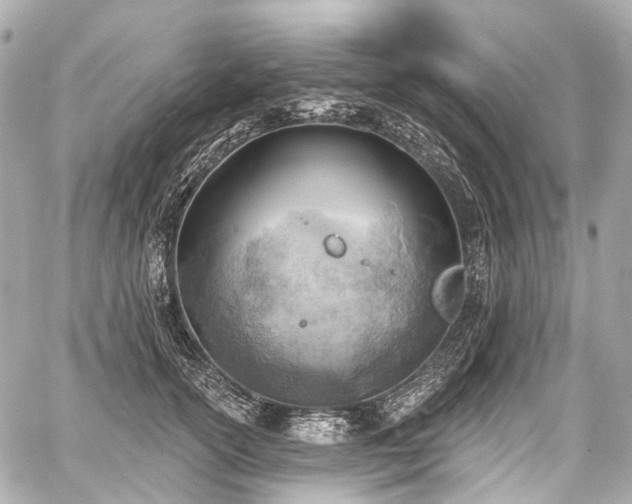 X0000059060754200510101048