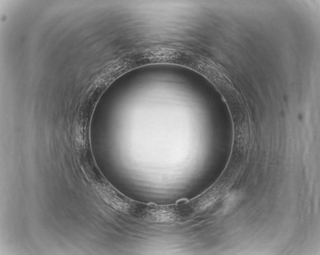 X0000059060755200510101048