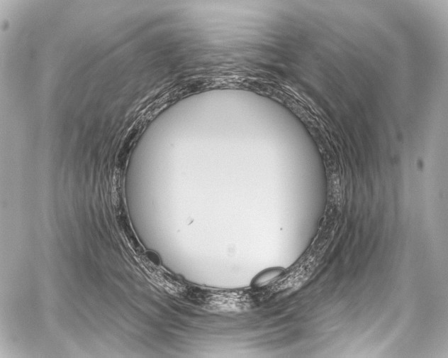 X0000059060757200510101048