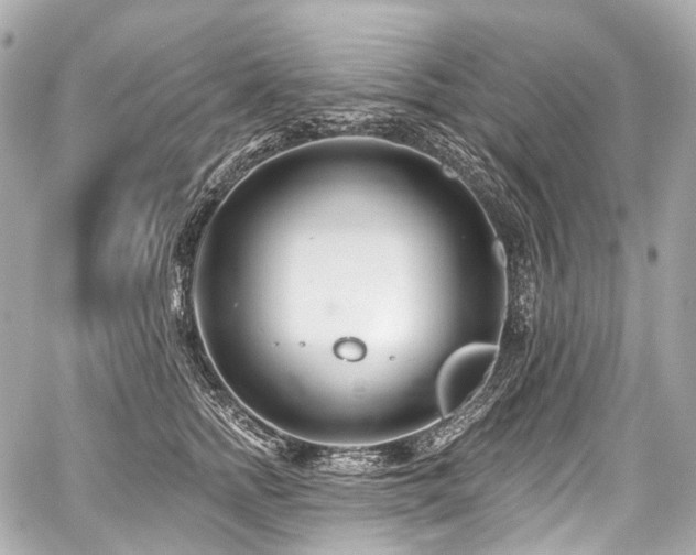 X0000059060758200510101048