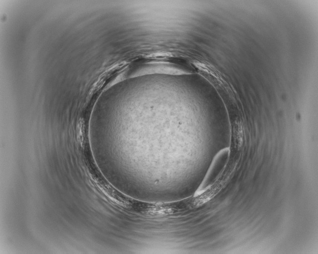 X0000059060760200510101048