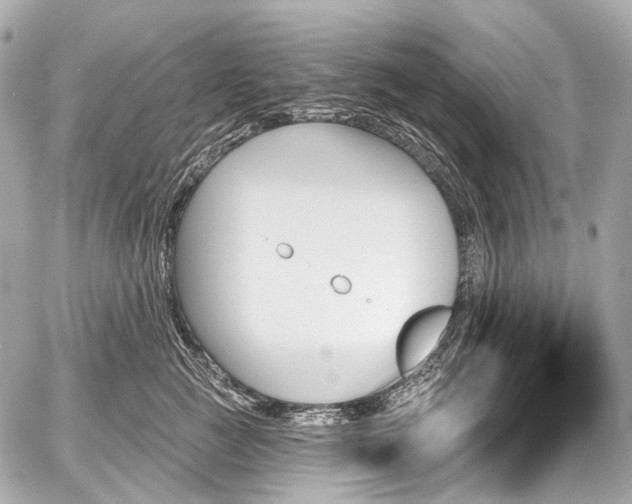 X0000059060761200510101048