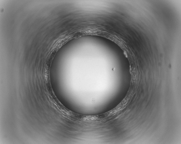 X0000059060762200510101048