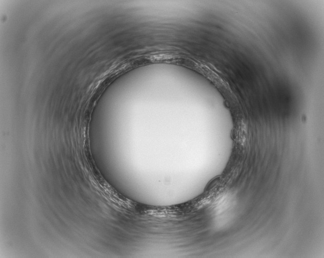 X0000059060763200510101048