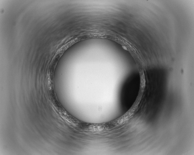 X0000059060764200510101048