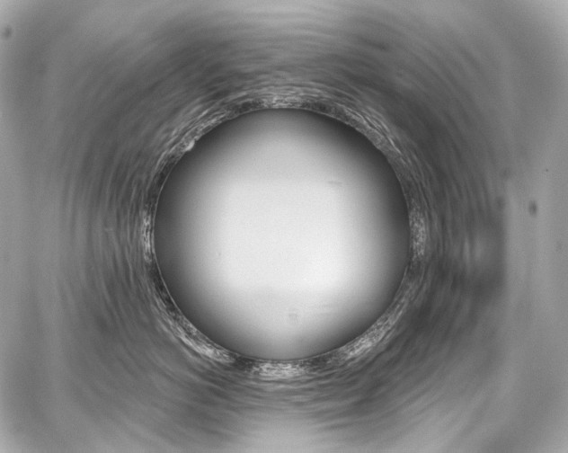 X0000059060766200510101048