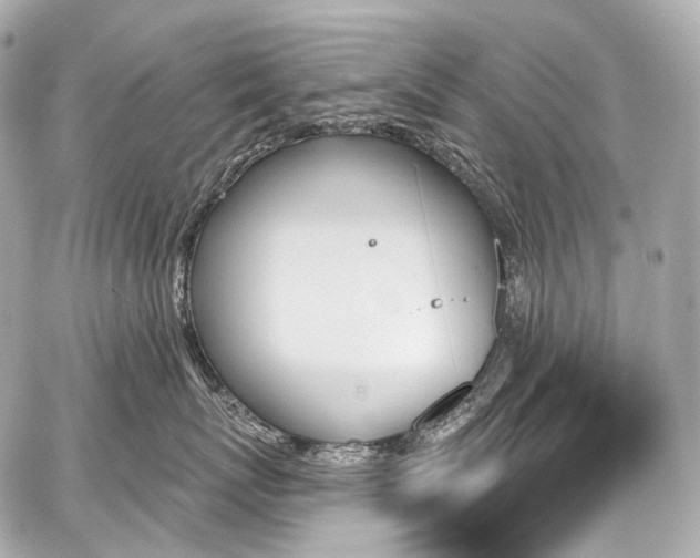 X0000059060767200510101048