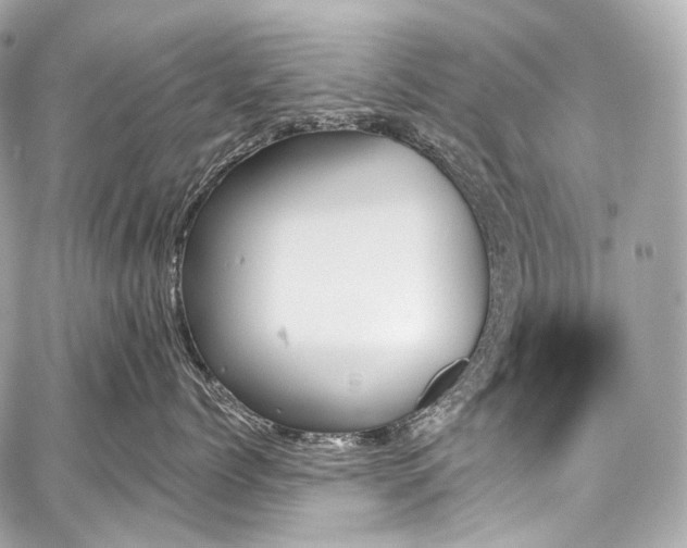 X0000059060768200510101048