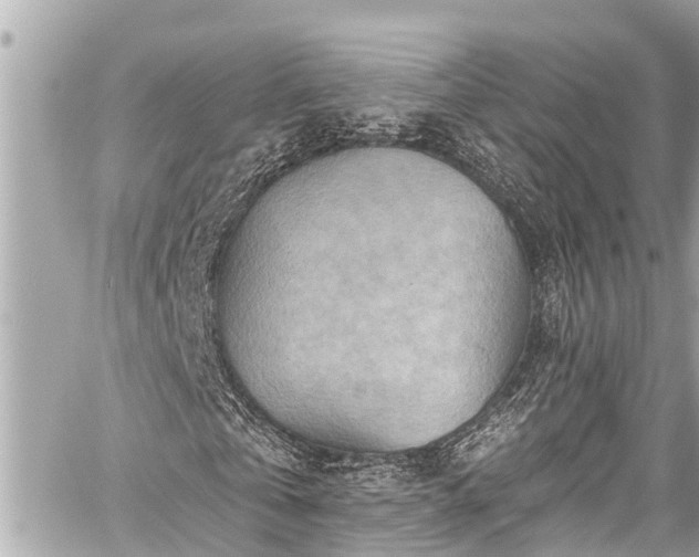 X0000059060769200510101048