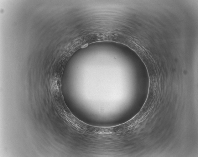 X0000059060770200510101048