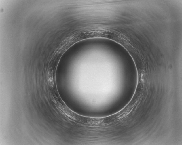 X0000059060771200510101048