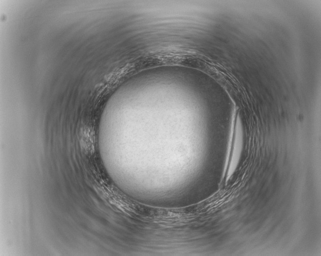 X0000059060772200510101048