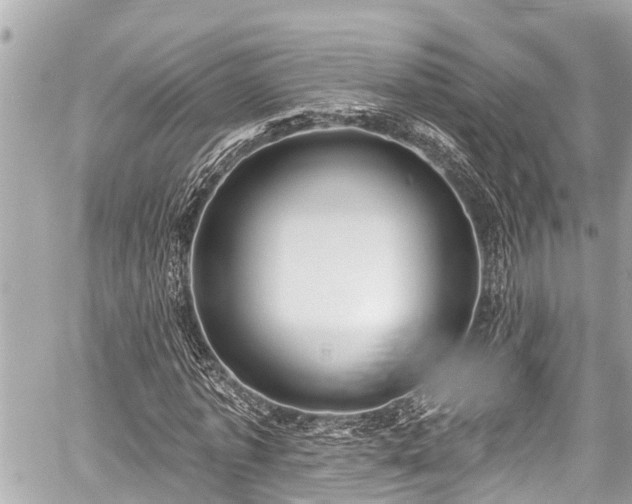 X0000059060773200510101048