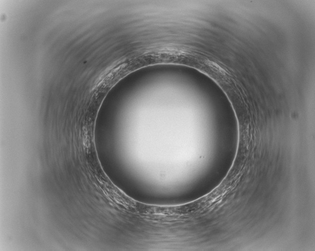 X0000059060774200510101047