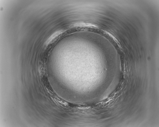 X0000059060775200510101047