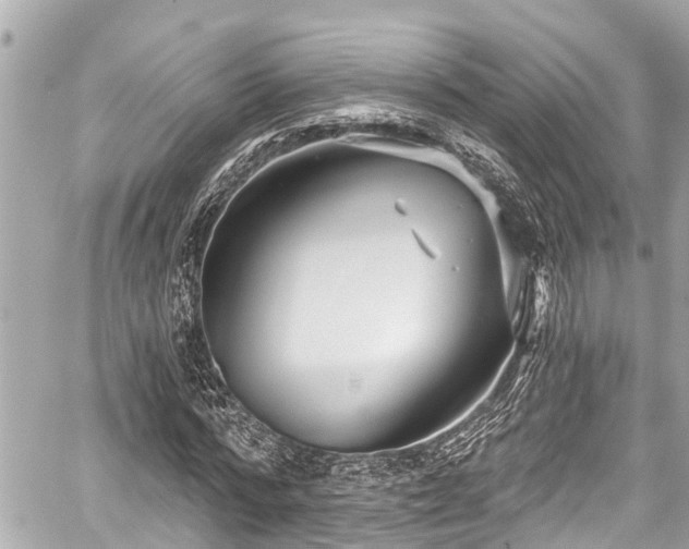 X0000059060776200510101047