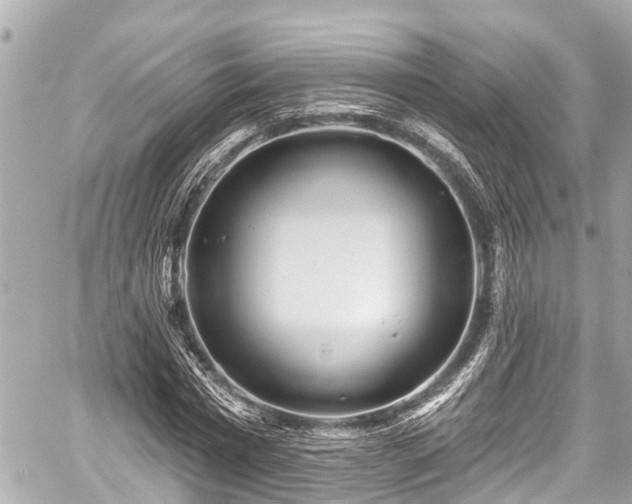 X0000059060777200510101047