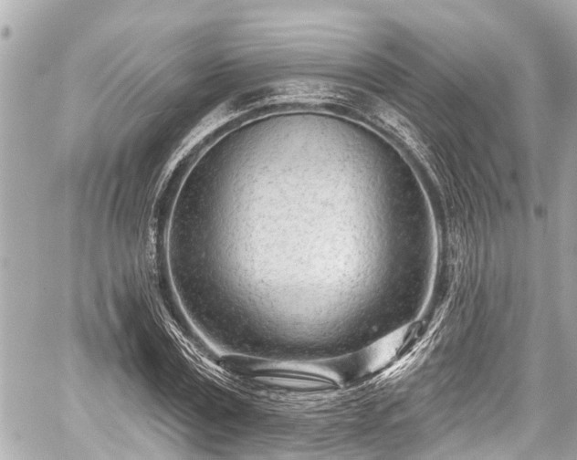 X0000059060779200510101047