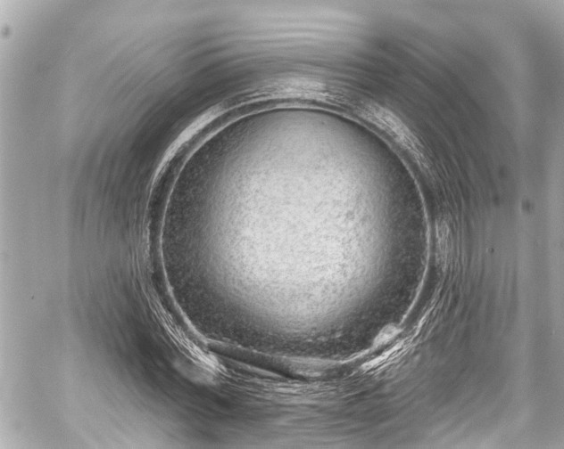 X0000059060780200510101047