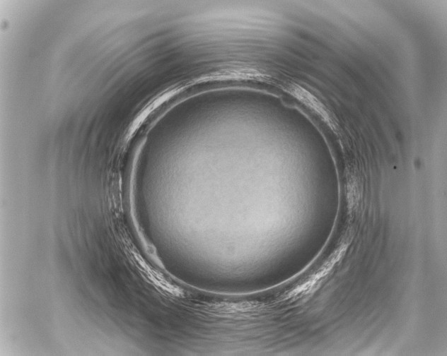 X0000059060781200510101047