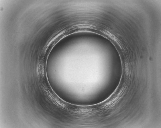 X0000059060782200510101047